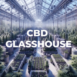 Glasshouse