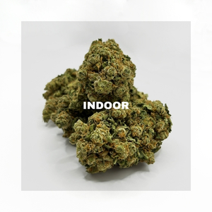 Indoor