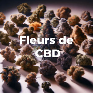 Voir Toutes Nos Fleurs de CBD