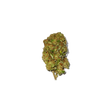 Orange Bud - Fleurs CBD Greenhouse - cbdvape-store.com