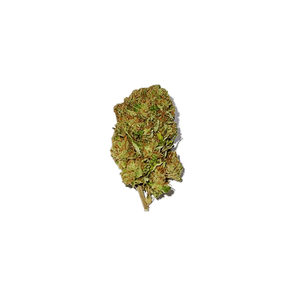 Orange Bud - Fleurs CBD Greenhouse - cbdvape-store.com