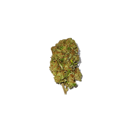 Orange Bud - Fleurs CBD Greenhouse - cbdvape-store.com